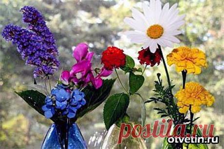 Какой у вас цветок-талисман.