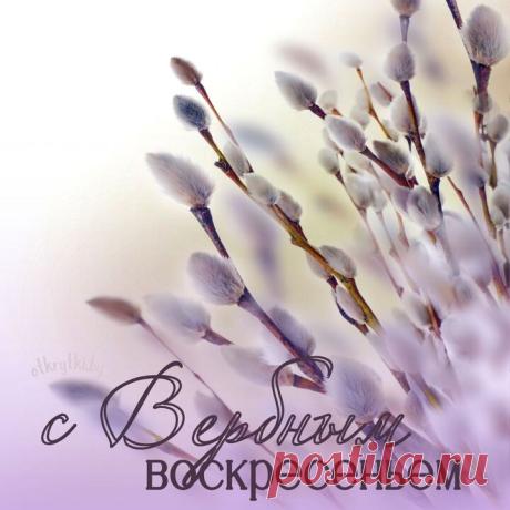 Поздравляю с Вербным воскресеньем! Пусть вербовая ветка принесет Вам здоровье, бодрость, долголетие и благополучие. Пусть дом покинет все плохое, а мир и любовь будут всегда с Вами! Открытки на Вербное воскресение!