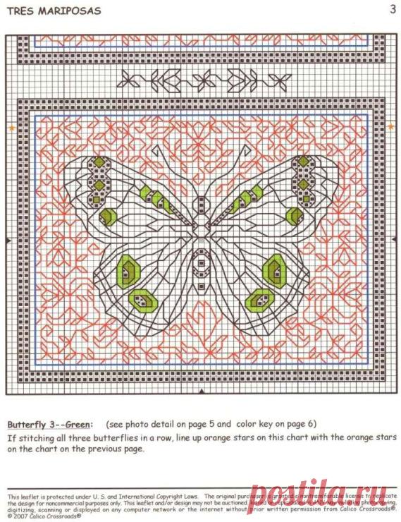 Gallery.ru / Фото #66 - ПЕРНАТЫЕ БАБОЧКИ - Fleur55555