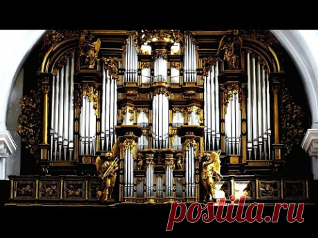 Bach. 5 Organ Masterpieces | Бах. 5 органных шедевров | Bach. 5 Meisterwerke der Orgel