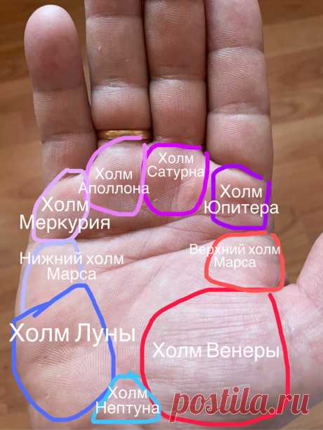 Хиромантия. Значение холмов | Виктория Кутукова | Яндекс Дзен