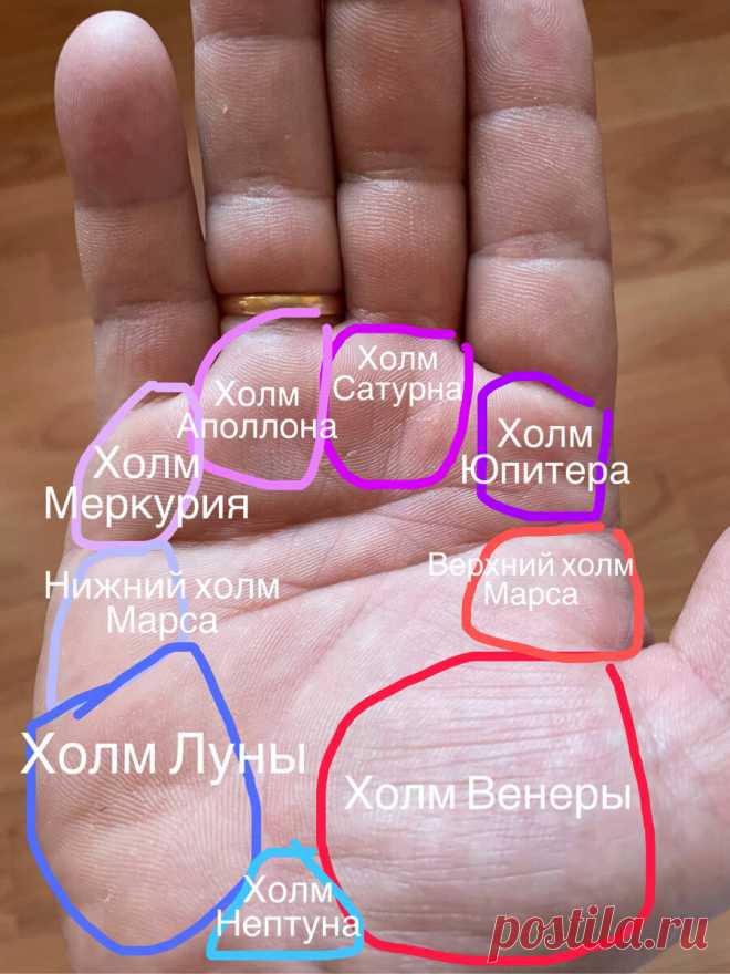 Хиромантия. Значение холмов | Виктория Кутукова | Яндекс Дзен