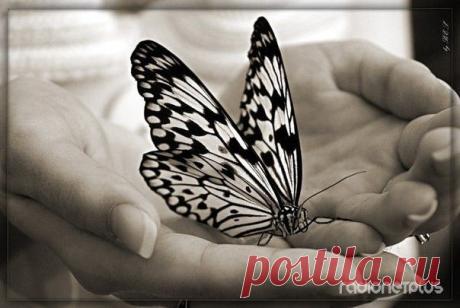 Как определить по руке человека его болезни?.