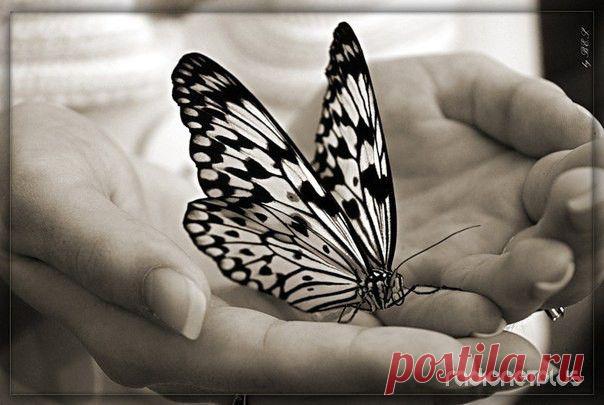 Как определить по руке человека его болезни?.