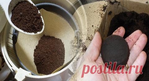 Прекратите выбрасывать кофейную гущу. 17 гениальных способов их повторного использования в домашних условиях