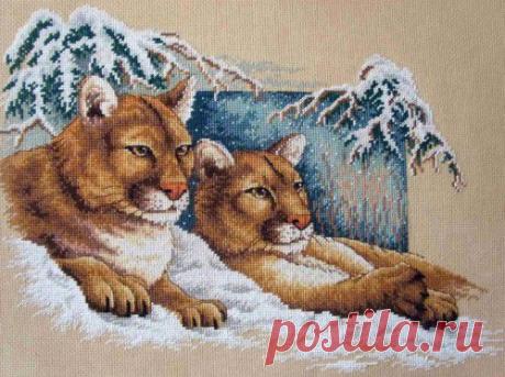 Снежные пумы - StitchArt.net - Искусство вышивания крестиком