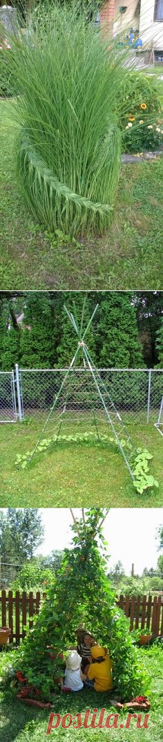 (181) Пин от пользователя Jennifer Wells на доске In the garden