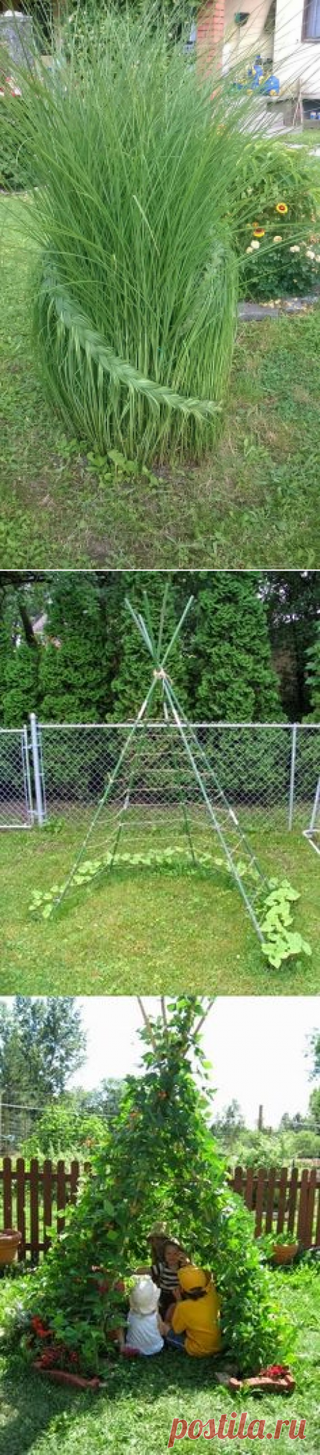 (181) Пин от пользователя Jennifer Wells на доске In the garden