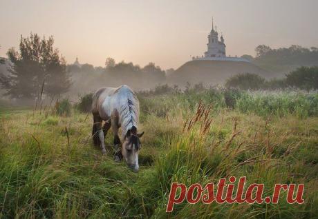 Красивая Россия