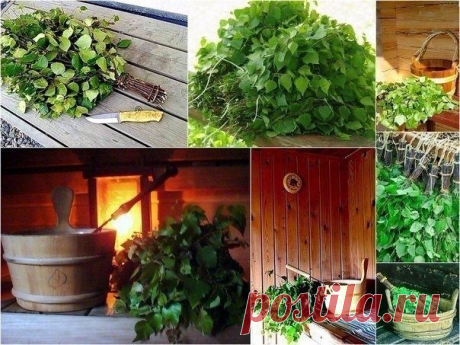Банные веники и их полезные свойства