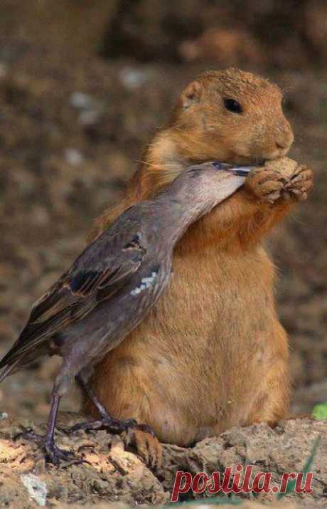 I can haz some?? ;-)