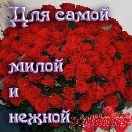 0_6e7af_25fa75bc_XL (600×600)