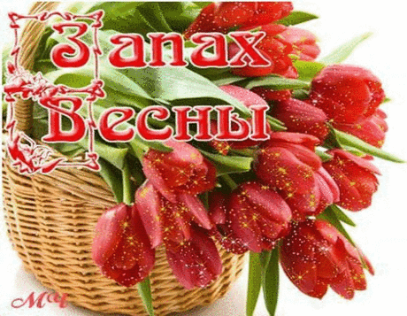 Мой Мир@Mail.Ru
