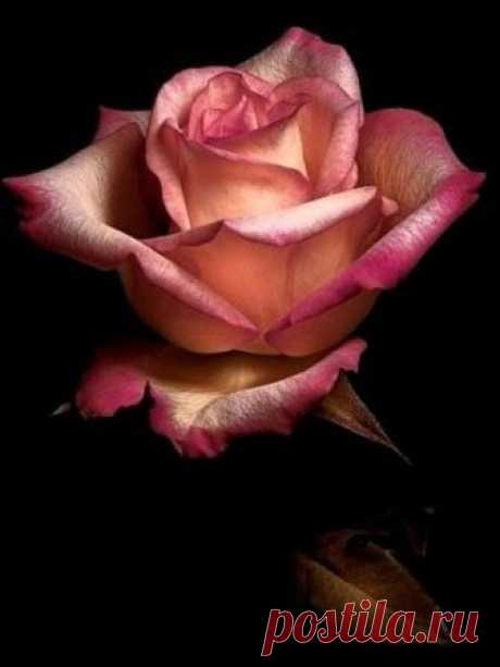 broche en métal doré une rose dans un coeur - Поиск в Google