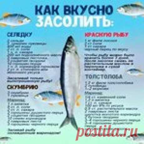 Как вкусно засолить рыбу?