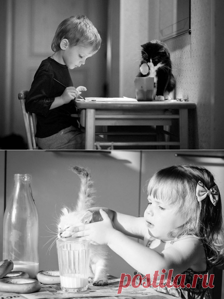Победители AdMe Photo Awards 2013 | Fresher - Лучшее из Рунета за день