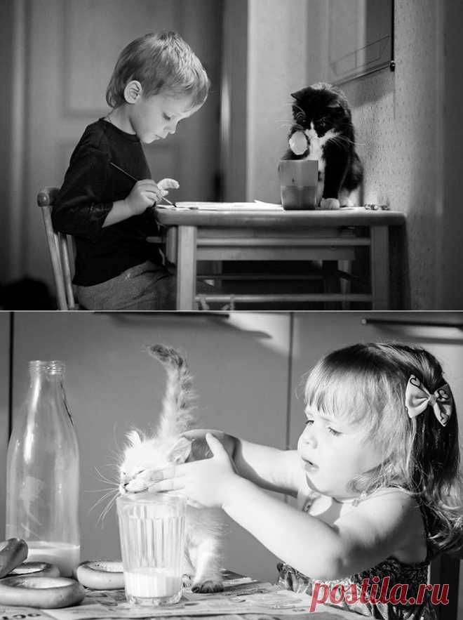 Победители AdMe Photo Awards 2013 | Fresher - Лучшее из Рунета за день