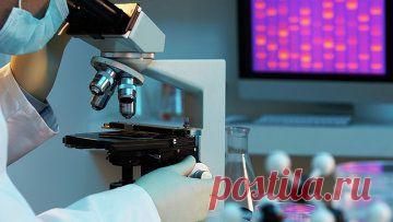 (+1) - Разработки Новосибирских ученых и качество жизни | Наука и техника