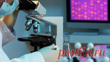 (+1) - Разработки Новосибирских ученых и качество жизни | Наука и техника