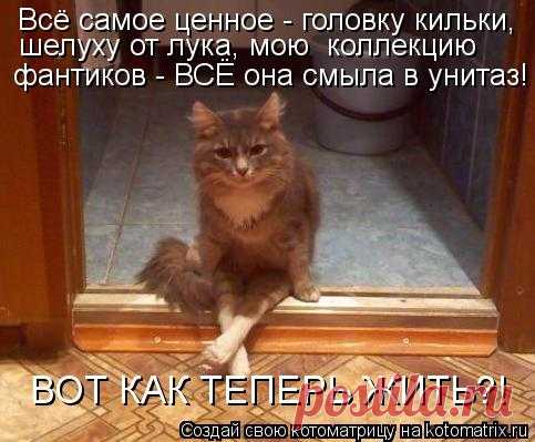 Котоматрица: Случайные котоматрицы