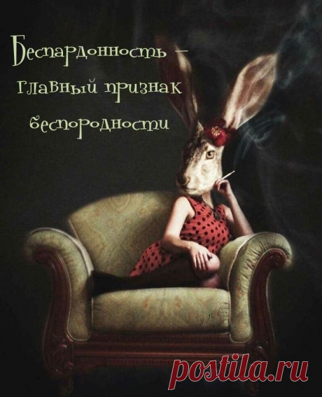 Пин на доске Позитивчики