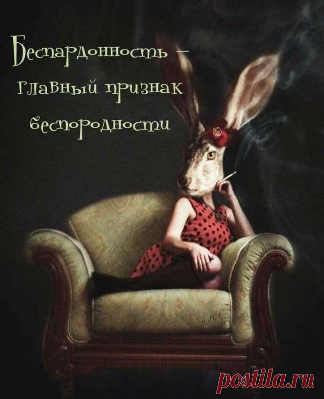 Пин на доске Позитивчики