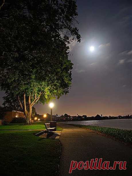 26 марта 2014 г.