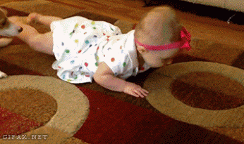 Популярное – Google+