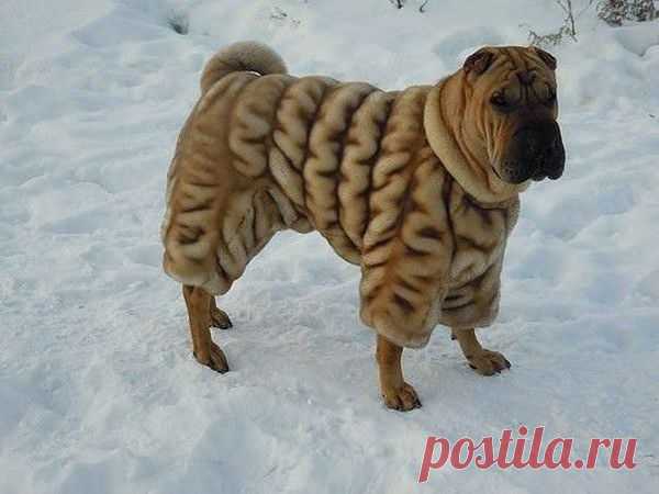 Мой Мир@Mail.Ru