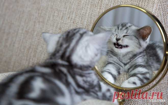 500px / how do i look ? by Thomas Steinlechner