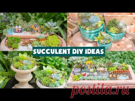 7 Succulent DIY Ideas| Tổng hợp 7 ý tưởng trang trí sen đá| 多肉植物| 다육이들 | Suculentas