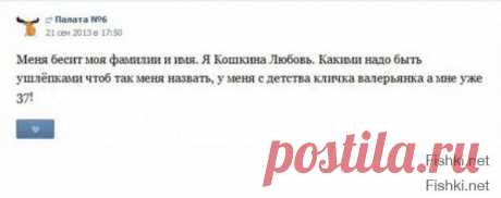 Смешные комментарии из социальных сетей 01.02.15