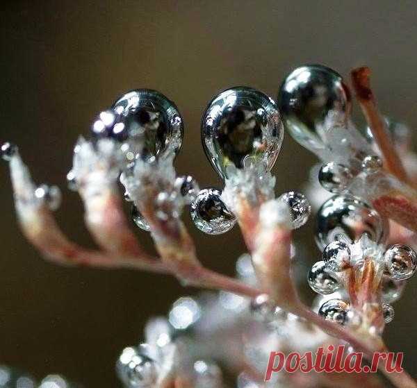 Капли воды - это тоже произведение искусства