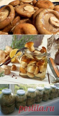 Одноклассники