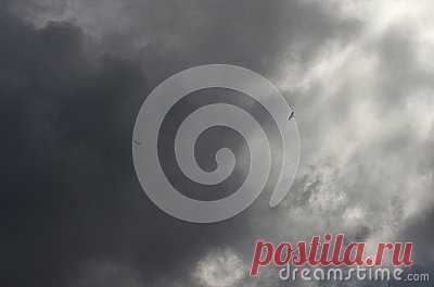 Stock Photos, Royalty-Free Images & Video Footage By Dreamstime Stock Photography