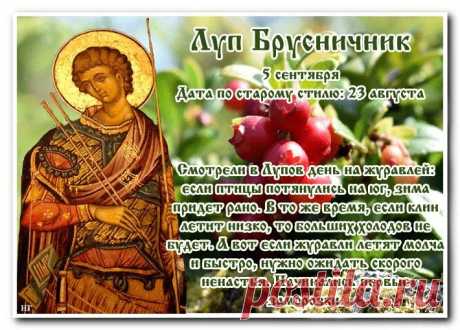 Праздник Луп Брусничник посвящен памяти мученика Луппа Солунского, жившего в третьем веке.