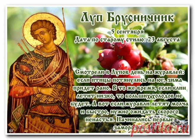 Праздник Луп Брусничник посвящен памяти мученика Луппа Солунского, жившего в третьем веке.