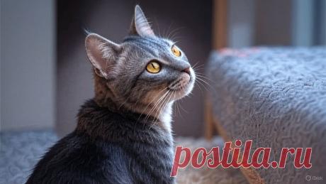 Василиска и рыбный день - OGADANIE.RU