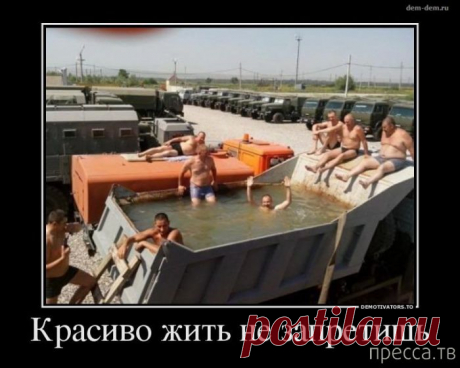 тдт