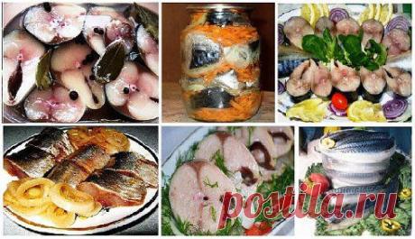 (43) Одноклассники