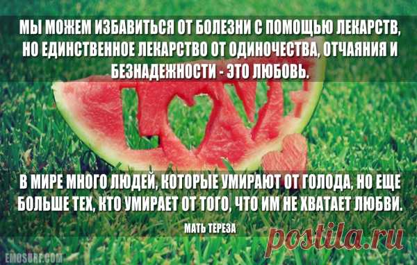 Цитаты о любви великих людей всех времен