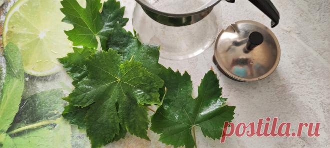 Виноград есть - виноград пить! А вы знаете, чем полезен чай из виноградных листьев? | Кинельский виноград | Яндекс Дзен