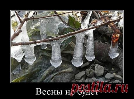 Демотиваторы для взрослых