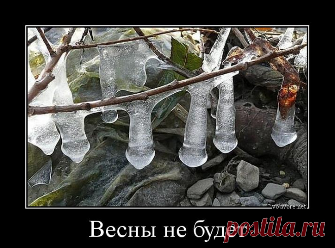 Демотиваторы для взрослых