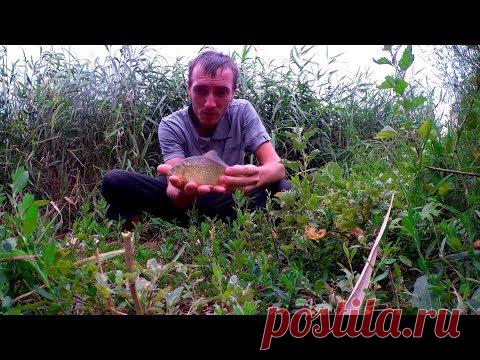 Как я полюбил апрель и пару слов про карантин.