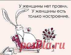 (3) Одноклассники