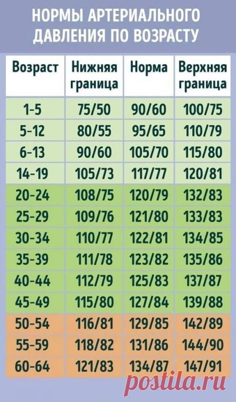 давление норма