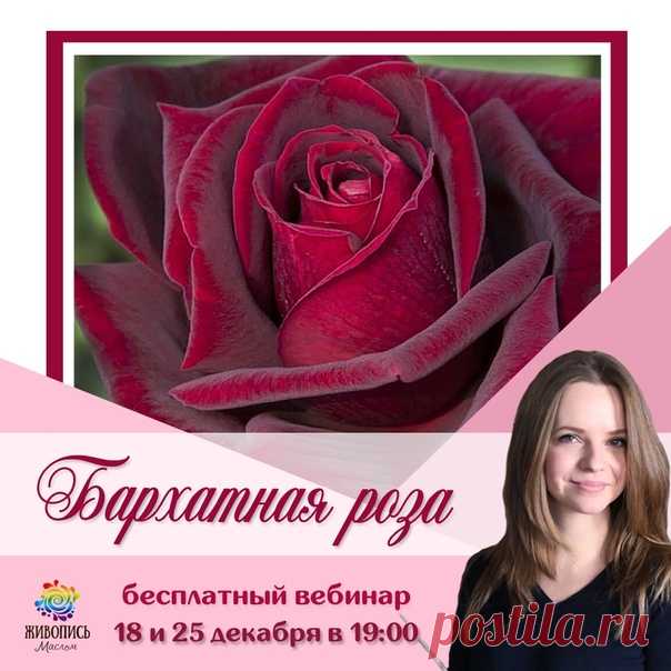 ОТКРЫТЫЙ ОНЛАЙН МАСТЕР-КЛАСС С НАДЕЖДОЙ ИЛЬИНОЙ  

Увидев ЭТИ работы можно подумать, что перед Вами фотография, а на самом деле... гиперреалистичная картина! Эти работы поражают своей реалистичностью! На мастер-классе Надежда Ильина поделится с Вами секретами ГИПЕРРЕАЛИЗМА на примере бархатной розы. 

Список материалов придет после регистрации по этой ссылке —> https://vk.com/app5898182_-36773250#s=174431

 18 и 25 декабря в 19.00 на открытом онлайн мастер-классе 