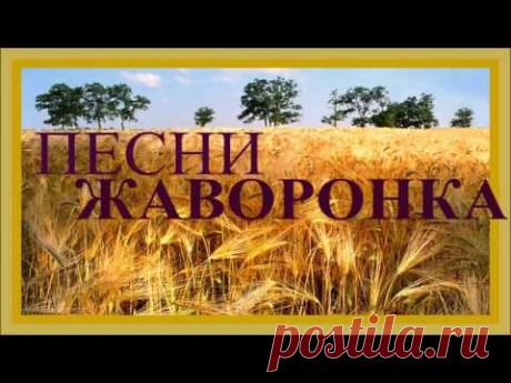 1 ЧАС - Песни Дивных Российских Полей / Russian Skylark Sounds