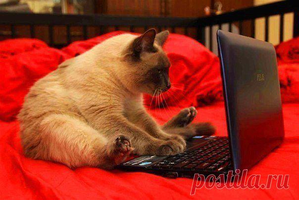 Людмила Заводникова